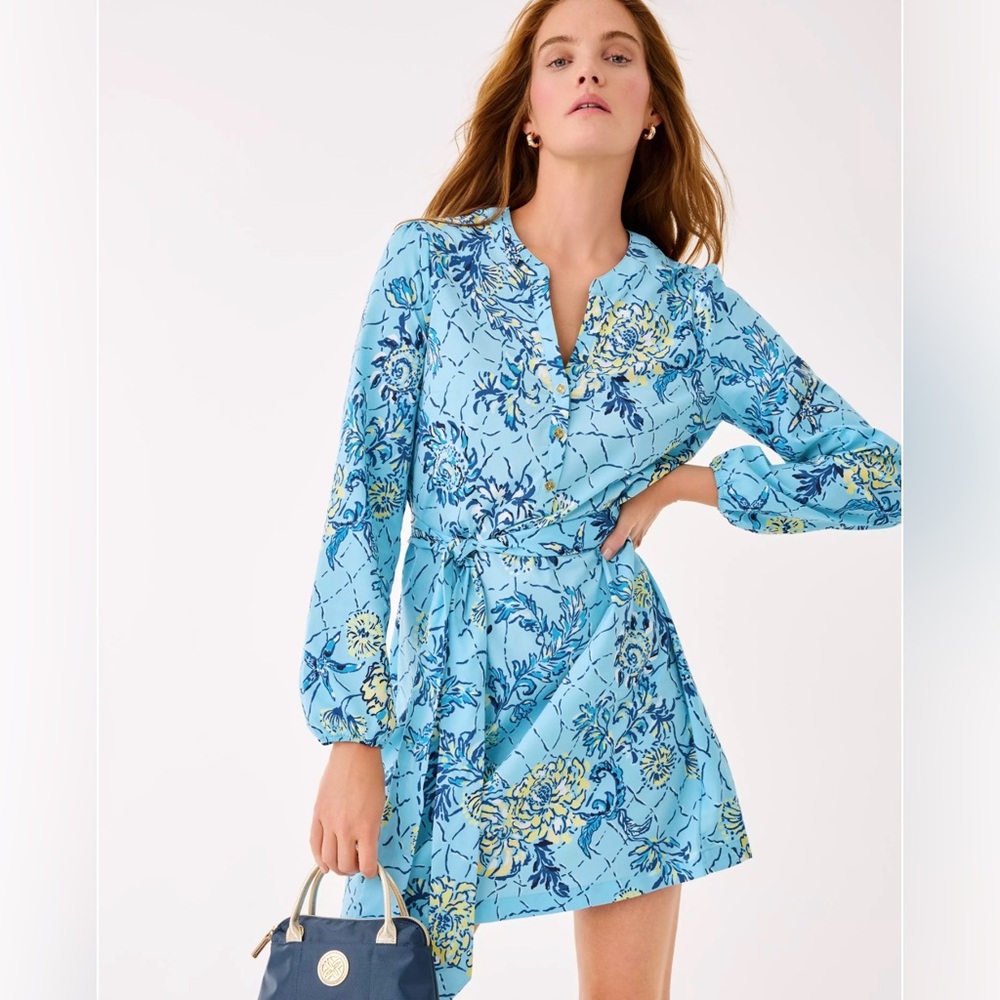 NWT Ensley Dress size Large